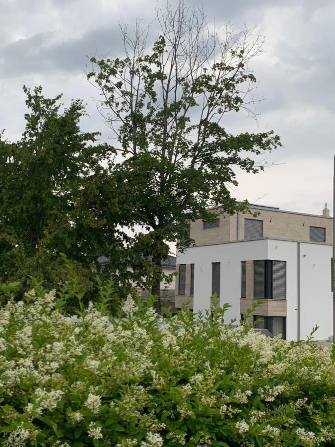 Mosaikhaus Smart Home Würselen Esterno foto
